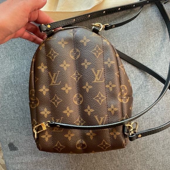 Louis Vuitton mini Palm Springs - Picture 4 of 15